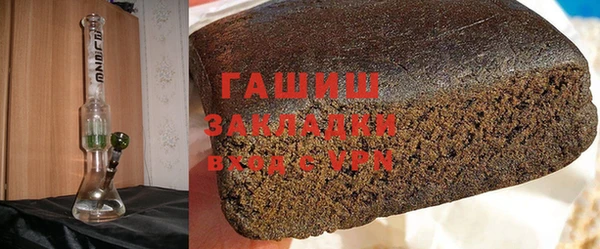 дживик Туринск